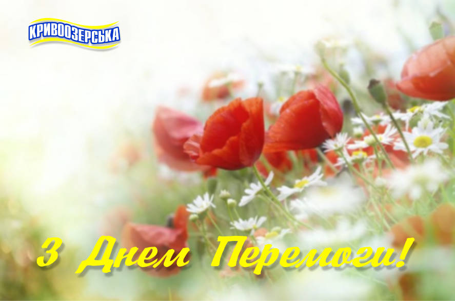 Прев'ю картинка для новини - З Днем перемоги над нацизмом у Другій світовій війні!